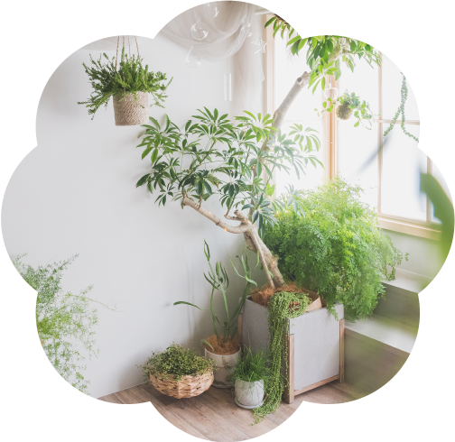 生きた緑であふれるナチュラルな撮影スペース