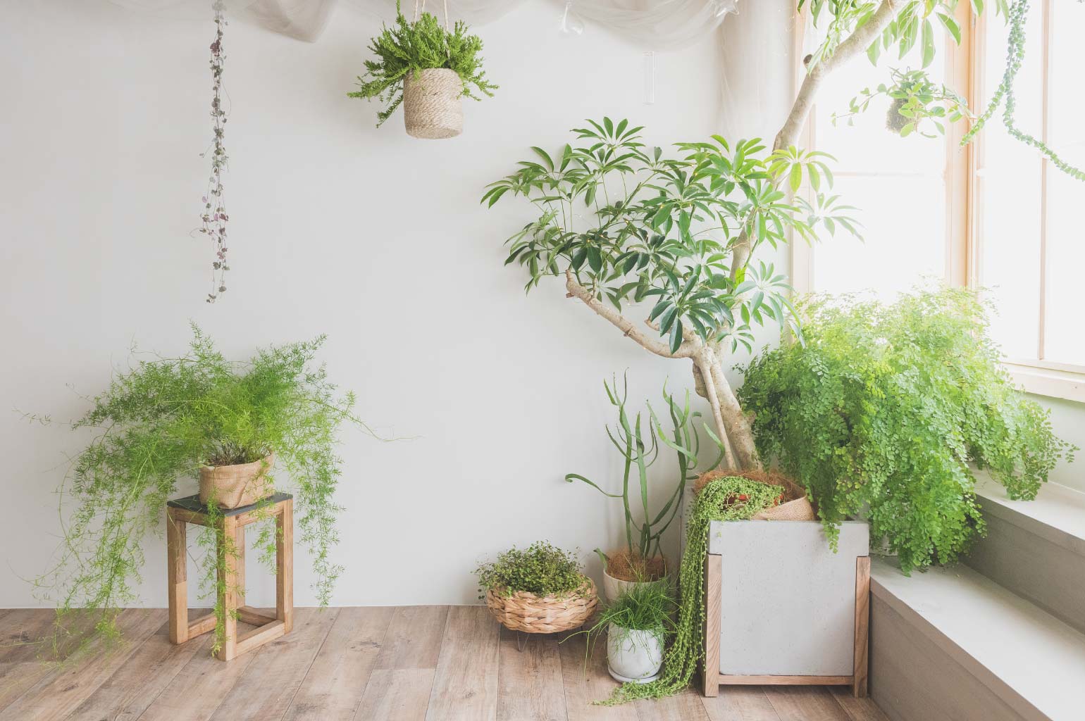 タイトルスペースイベントのお知らせ