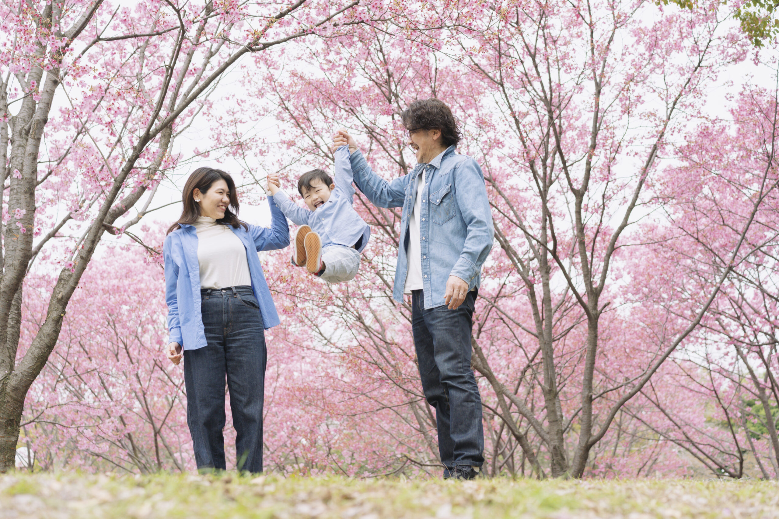 今年も開催決定！桜撮影会2025