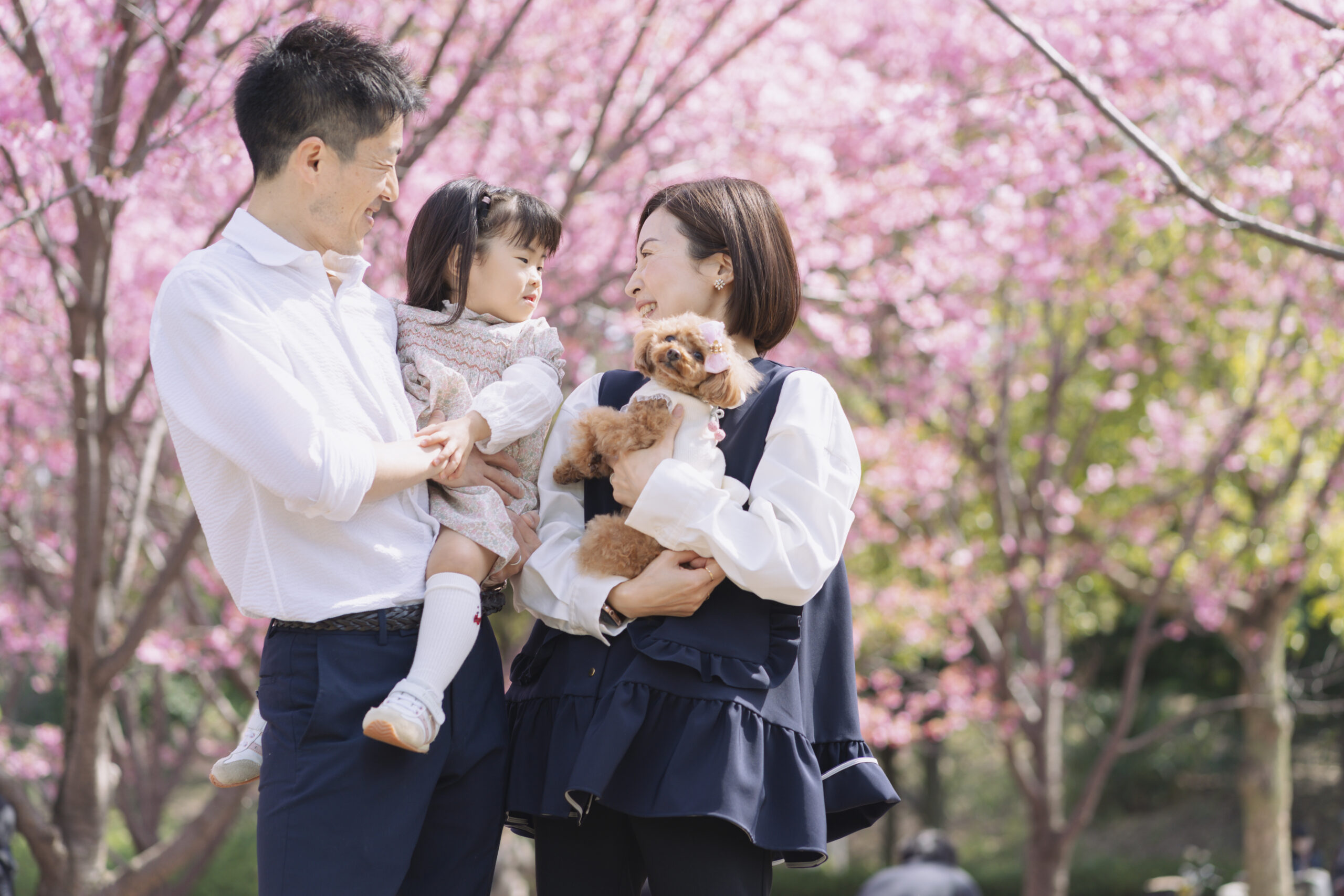 今年も開催決定！桜撮影会2025