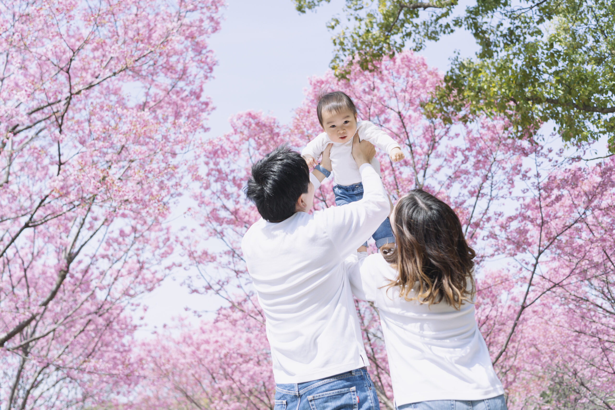 今年も開催決定！桜撮影会2025