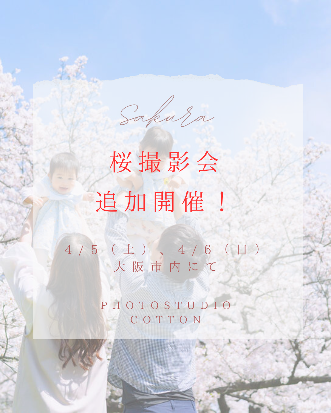 桜撮影会 追加開催決定!4/5(土)、4/6(日)