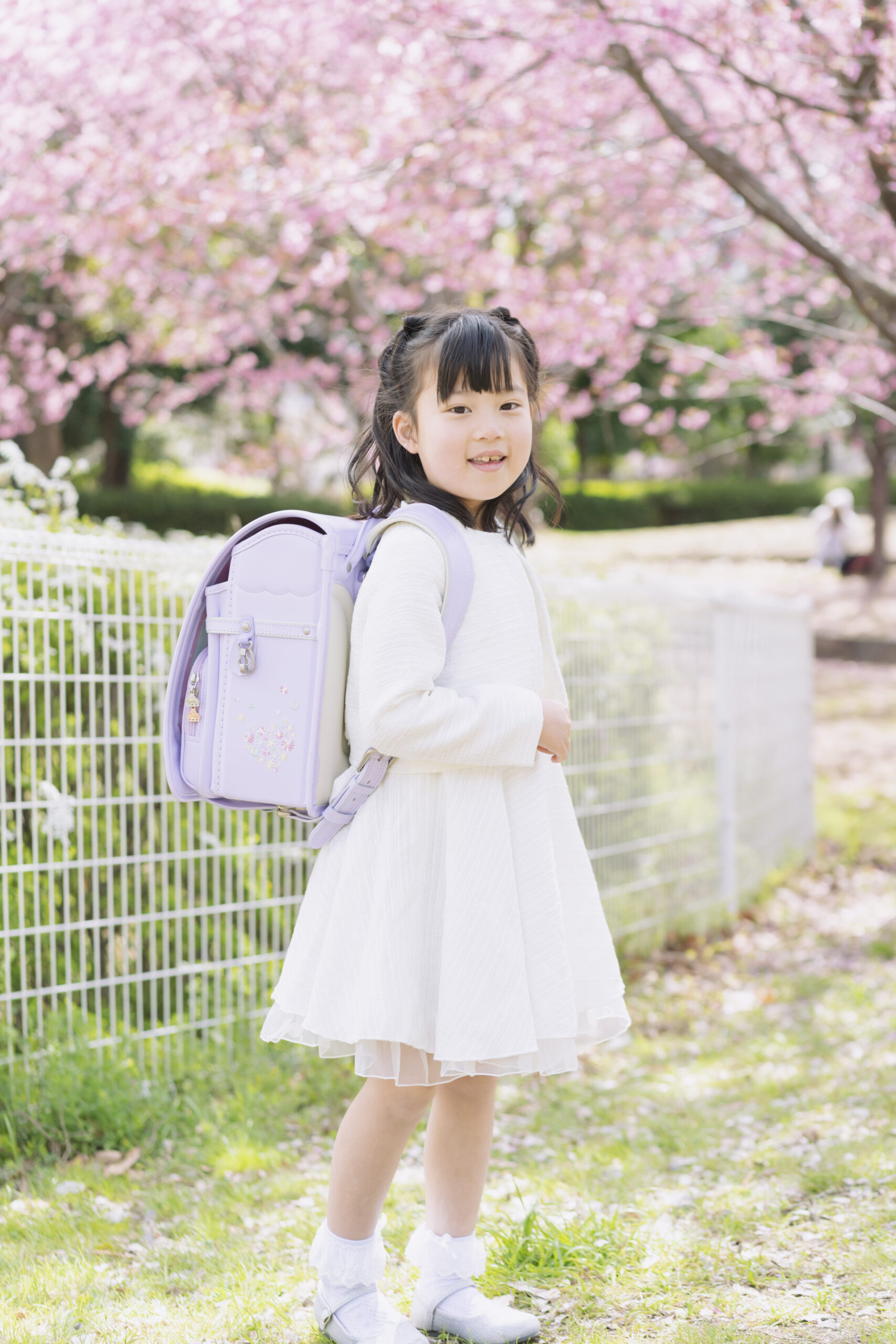 桜撮影会2026 開催決定！（3/28、4/4、4/5）