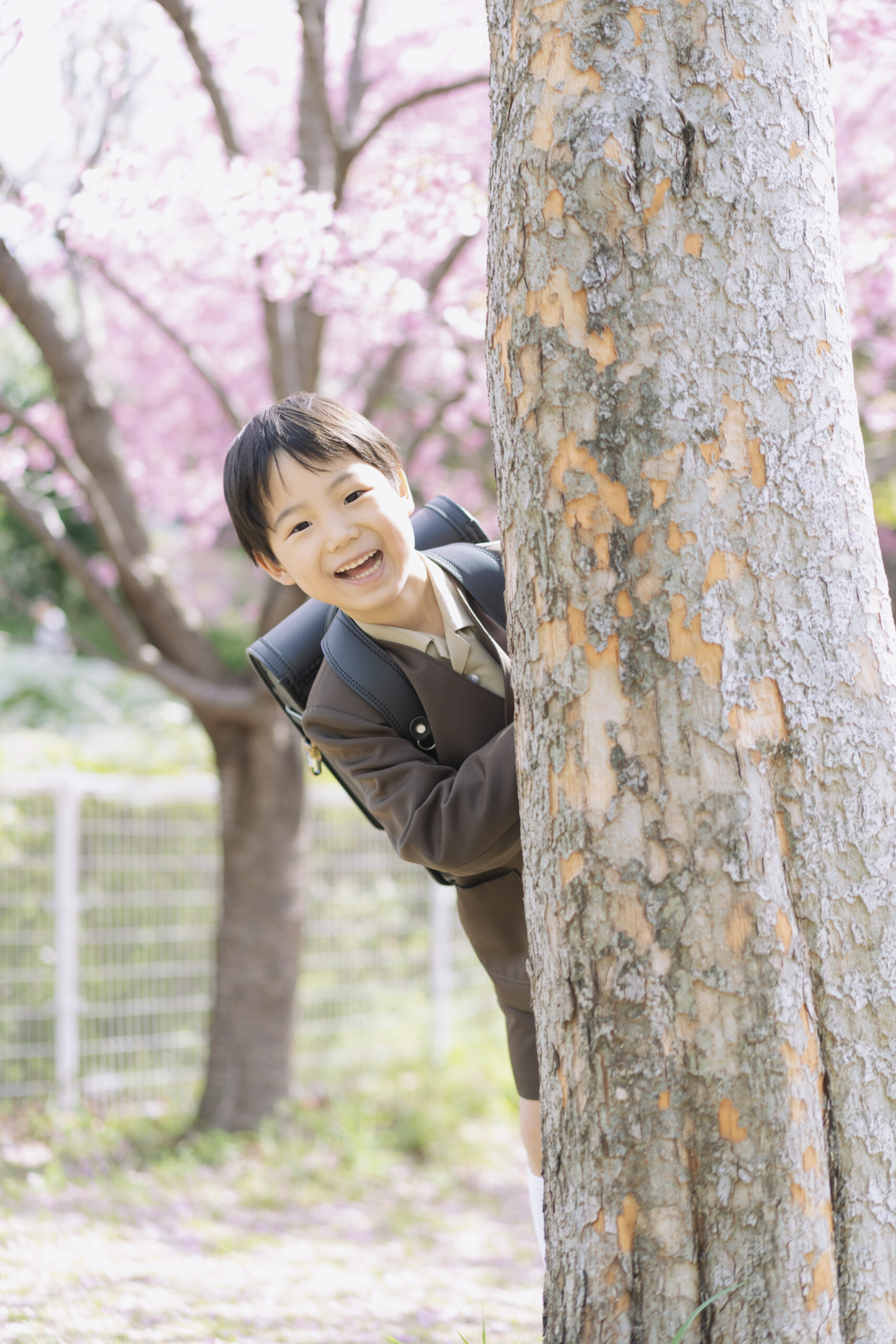 桜撮影会2026 開催決定！（3/28、4/4、4/5）