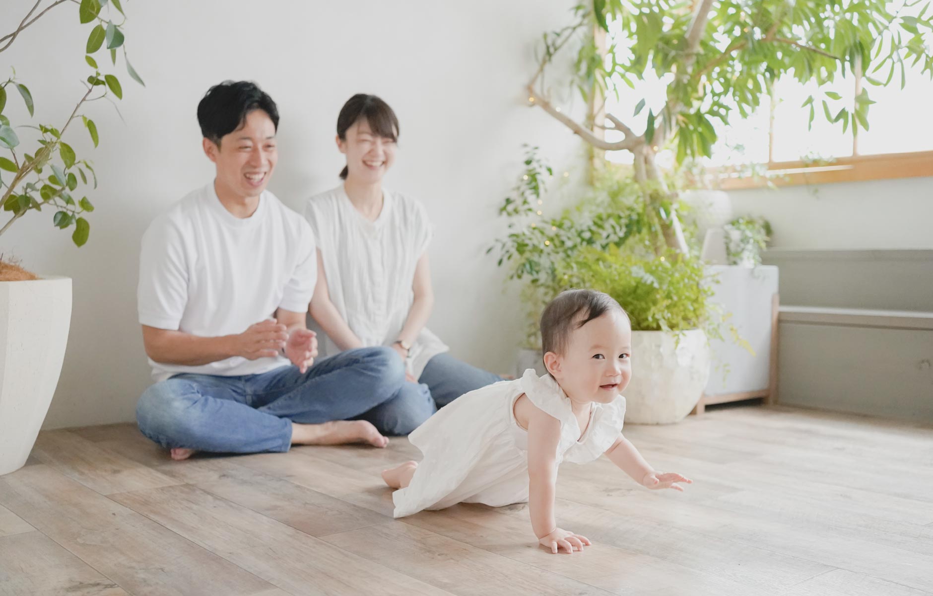 シンプルプラン