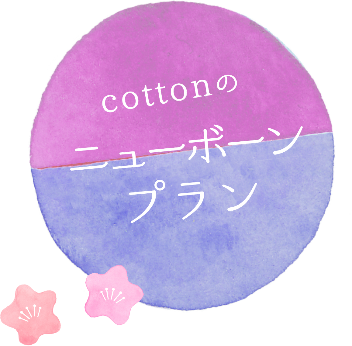 ニューボーンプラン